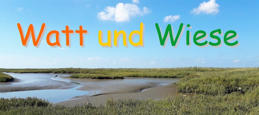 Watt und Wiese